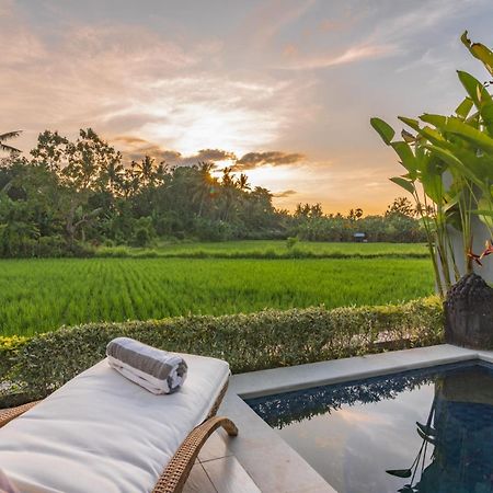 Villa Shiva Lovina  Bagian luar foto