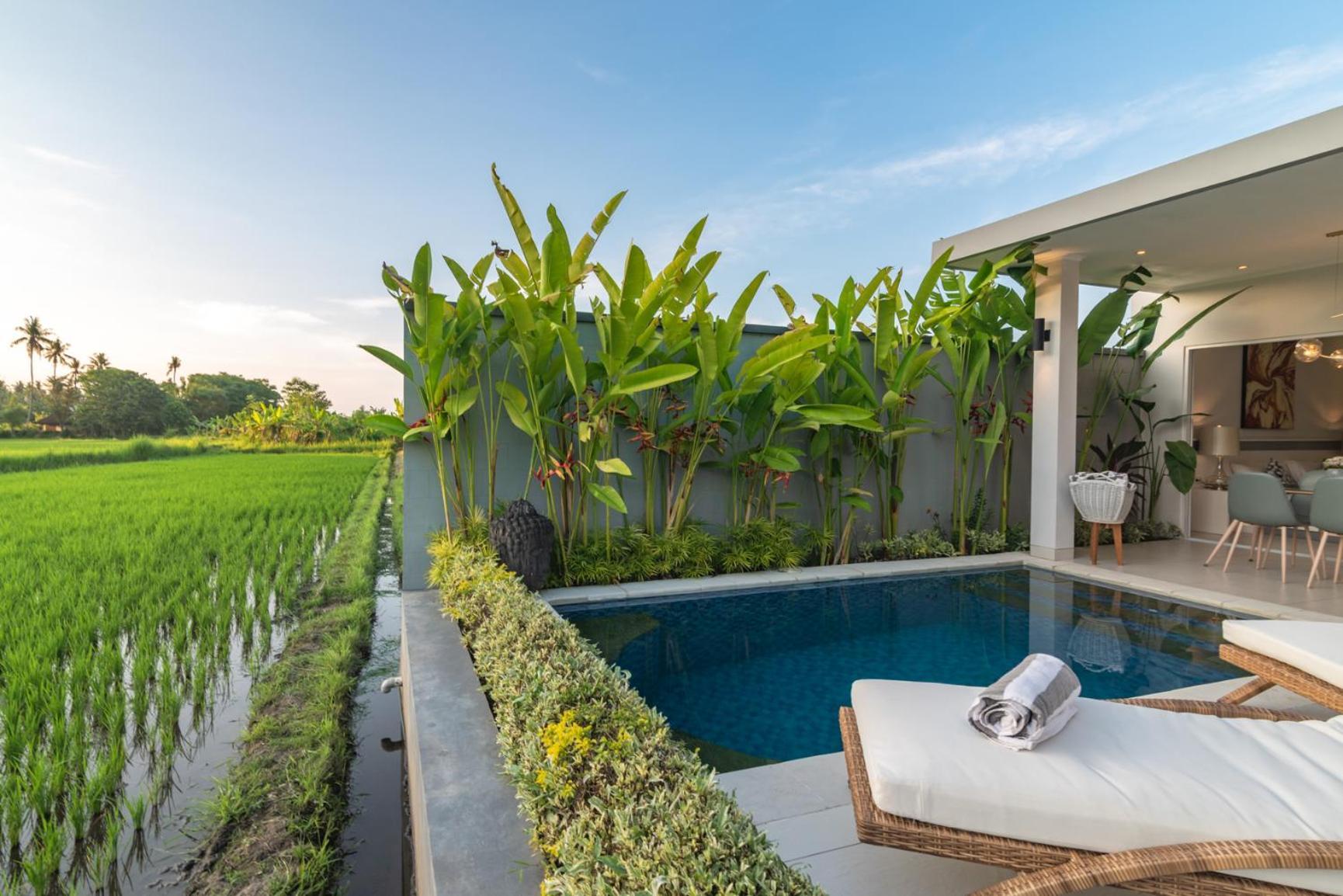Villa Shiva Lovina  Bagian luar foto